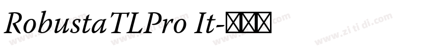 RobustaTLPro It字体转换